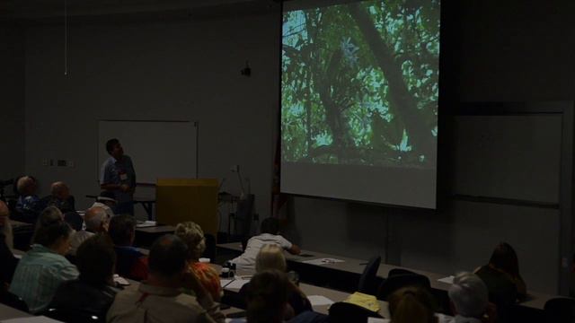 2015 - Alex Zaslawski (cattleya eldorado), 5th Annual Cattleya Symposium смотреть онлайн