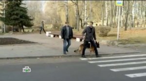 Возвращение Мухтара 2. Бедный Вася