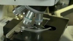 Своими Глазами - В Ямале Обнаружили 4 Карстовых Во