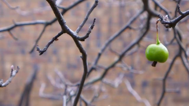 What Is The Garden Of Eden _ And Its Relationship To Adam And Eve? смотреть онлайн