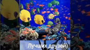 Пусть всегда будет сщастье