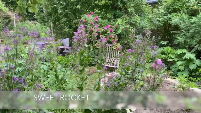 Summer in the Cottage Garden смотреть онлайн