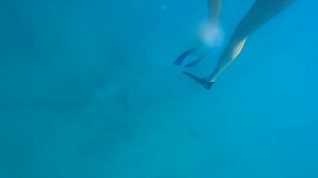 Камера GOPRO 9 под водой и над водой, а также проба сил перед главным погружением под воду. смотреть онлайн