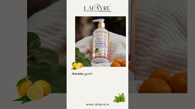 Peppermint and Citrus Oil Shampoo | Hair Renewal Shampoo | Lafayre