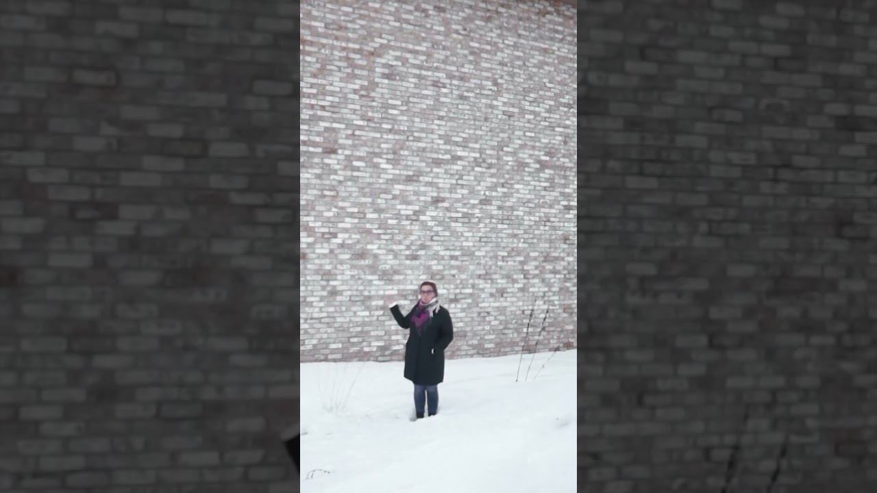 #shorts облицовка голой стены #газобетона #дом #коттедж #стройка #видео #строительство смотреть онлайн