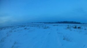 Как читать следы зайца