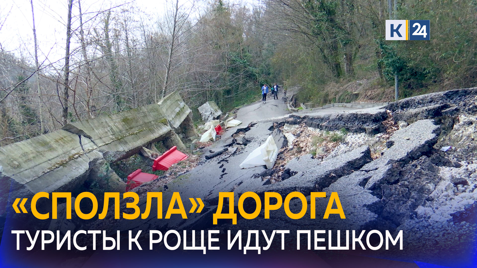Оползень разрушил дорогу к Тисо-самшитовой роще в Сочи