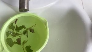 Хитрый способ помыть крапиву