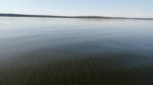 На реке большой Черемшан в районе Мулловки гибнет рыба. 24.08.2019