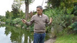 Запускаю гибрид Белуги. Запустил осетра в пруд.