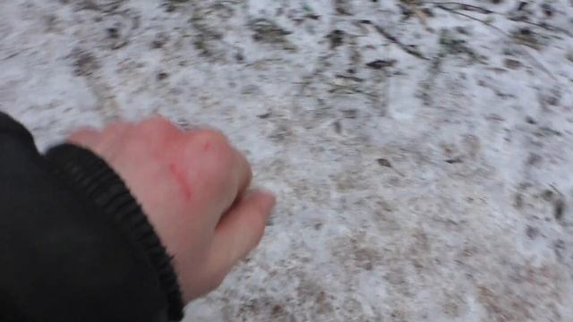 ЖИЗНЬ НАЙДЕННОЙ СОБАКЕ В ЛЕСУ! ГДЕ ЖИВЁТ МАЛЫШ! Новые ИГРУШКИ ДЛЯ МАЛЫША! ПРОВЕРИЛ ЗИМНИЕ ОПЯТА! смотреть онлайн