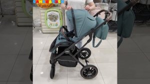 Коляска 2 в 1 Indigo Carry