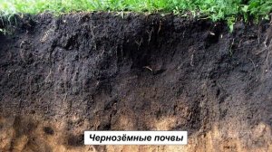 "Разнообразие почв", Окружающий мир 4 класс ч.1, с.47-49, Планета знаний.