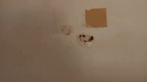 Как отреставрировать скол на ванне.