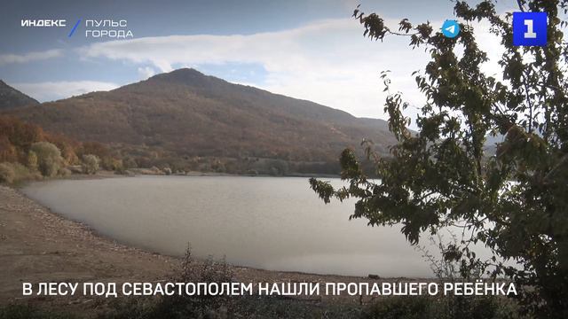В лесу под Севастополем нашли пропавшего ребёнка