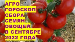 Агрогороскоп сбора качественных семян овощных растений в сентябре 2022 года