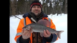 РЫБАЛКА НА ХАРИУСА \ ЕСТЬ КРУПНЯК !!!