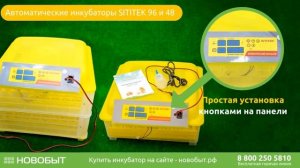 Обзор инкубатора Sititek (Сититек)
