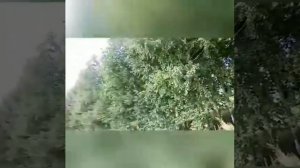 Чеганлы  Красота родного края. Абдулинский ГО