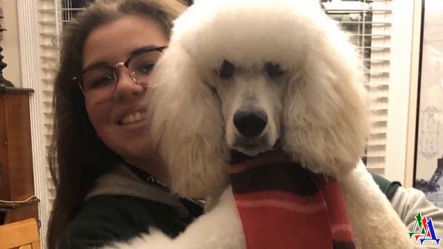 ТЕДДИ 2. «Всё отлично, Тедди, всё хорошо, малыш!» - Лиза вдруг почувствовала сильную тревогу смотреть онлайн