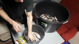 Как быстро и просто солить рыбу