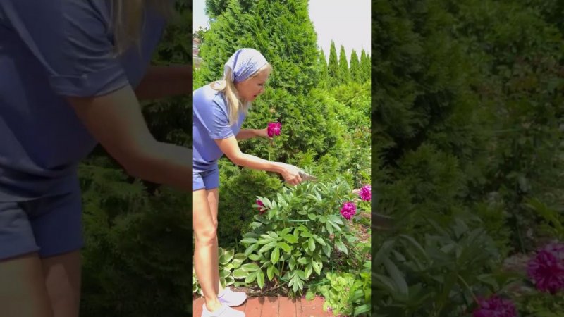 Какие работы нельзя пропускать в июне