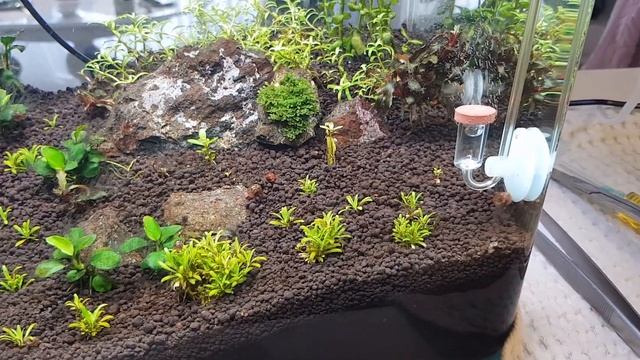 30 л - 23 день - Олений рог, привет! смотреть онлайн