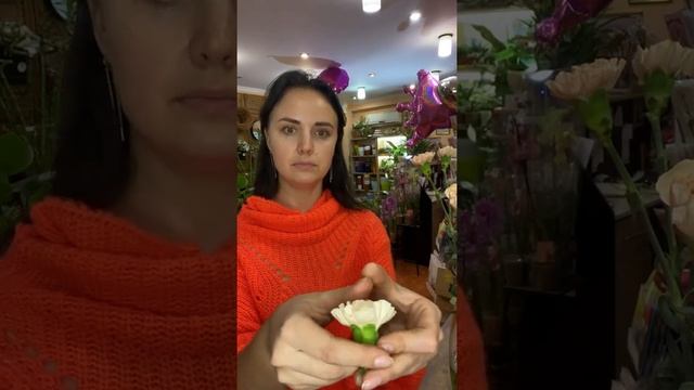 Как быстро открыть гвоздики