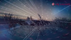 Волки Тоже Умеют Любить ОБАЛДЕННАЯ ПЕСНЯ до СЛЁЗ !!! Вячеслав Сидоренко ❤️?