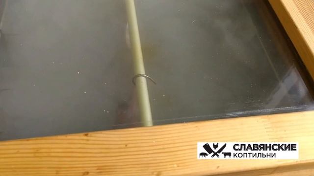 Очень ВКУСНАЯ Горбуша Холодного Копчения в Электростатической коптильне!