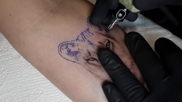 Lioness soft tattoo | 3 x speed смотреть онлайн