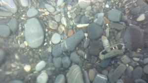 В Чемитоквадже открывается база каякеров