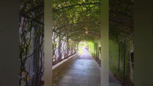 Selectum Family Comfort Side 5*     июль 2023