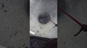 Рыбалка в ночь, лещ и...