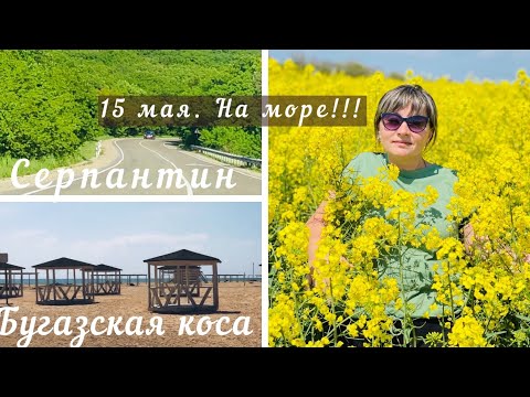 Выходные станичников.НОВОЕ #переезднаюг #станицанатухаевская