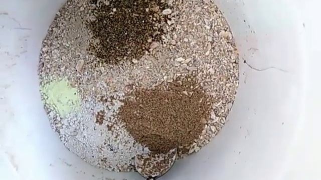 Польза ферментированного зерна ???моё хозяйство смотреть онлайн