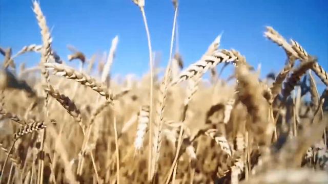 XVI Евразийский Медиа Форум. Деглобализация смотреть онлайн