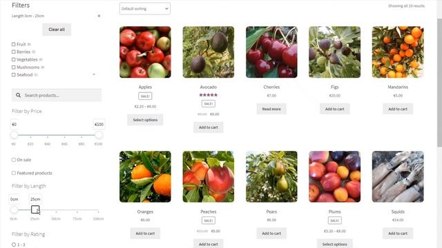 annasta Woocommerce Product Filters Plugin Demonstration 2021 смотреть онлайн