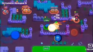 Я акулёнок туруру