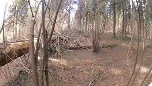 Заготовка дров на зиму в деревне