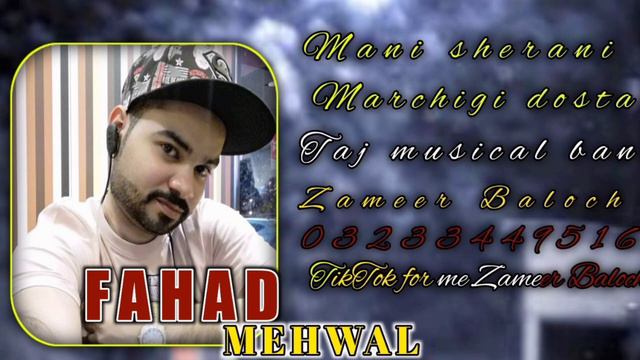 Fahad Mehwal song | balochi song | Mani sherani marchigi dosta song | balochi omani song | New song