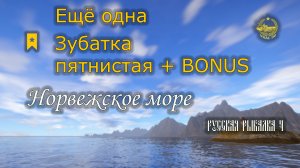 ✮ Норвежское море ✮ Зубатка пятнистая ✮ + BONUS