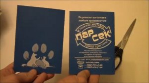 Международный ветеринарный паспорт