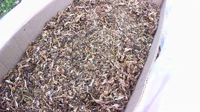 Что сделать с не дозревшим, прошлогодним табаком. смотреть онлайн