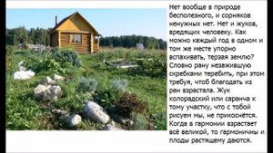 Что такое Родовое поместье