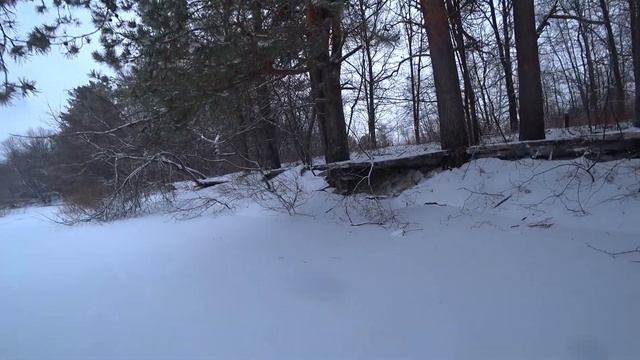 На рыбалку на мотобуксировщике Альбатрос-XL8. Ощутили на себе необычный осенний разлив реки! смотреть онлайн