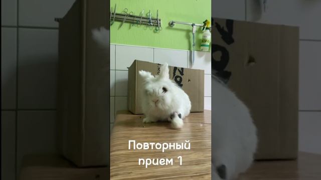 Операция для Снежи