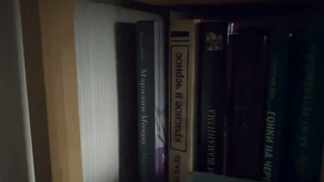 Vlog! Душню про книги, показываю, где лучший кофе в Петербурге и самый вкусный меренговый рулет смотреть онлайн