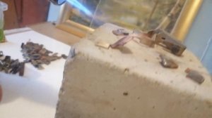 МЕДЬ ЛАТУНЬ И СЕРЕБРО  РАЗБОР ХЛАМА       #медь #латунь #цветнойметалл