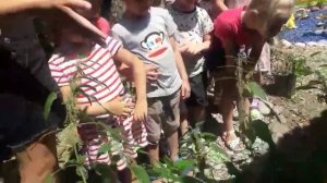 фильм тропа Катя Серг.mp4